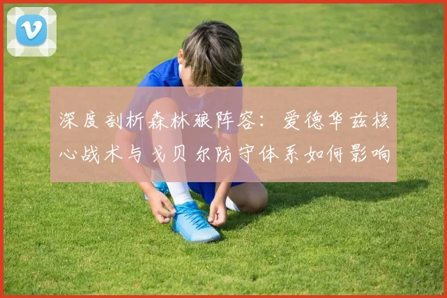 深度剖析森林狼阵容:爱德华兹核心战术与戈贝尔防守体系如何影响下赛季季后赛前景