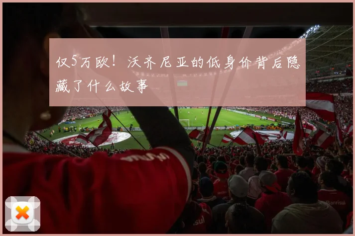 仅5万欧！沃齐尼亚的低身价背后隐藏了什么故事