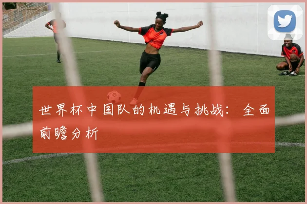 世界杯中国队的机遇与挑战:全面前瞻分析