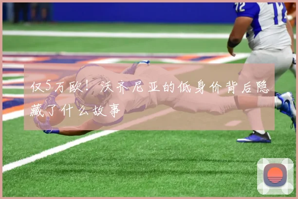 仅5万欧！沃齐尼亚的低身价背后隐藏了什么故事