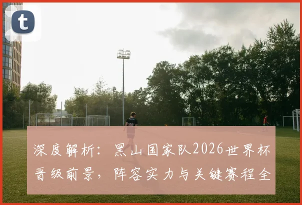 深度解析:黑山国家队2026世界杯晋级前景,阵容实力与关键赛程全面展望